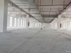 【園區(qū)直招】蘇通園區(qū)全新廠房，面積1150平，單層獨棟均有