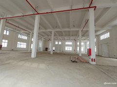 全新獨(dú)棟廠房，每棟3500平，共4棟，層高8米，5噸貨梯